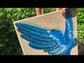 Canvas print Parrot - Hand-painted mural 70x50x2cm