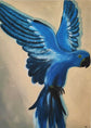 Canvas print Parrot - Hand-painted mural 70x50x2cm